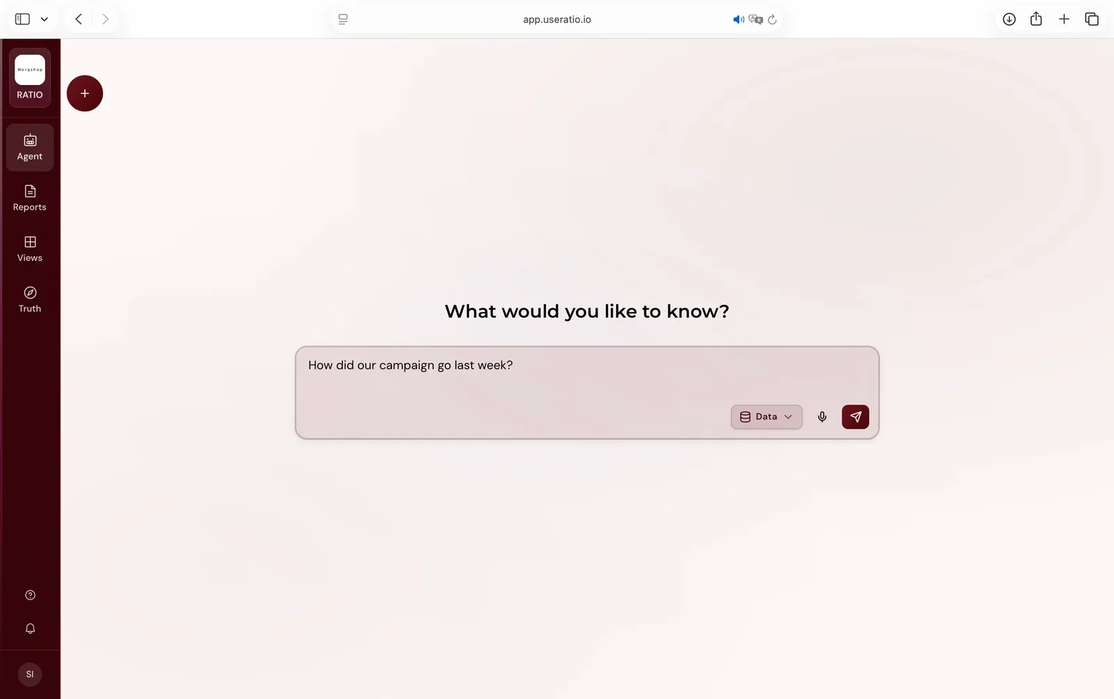 ratio Agent: What would you like to know?